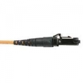Molex-MTRJ Duplex Connector, Multimode-125um -Female